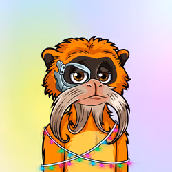 67182258498829374843706483608151563094647588442130083225553784664476998434817