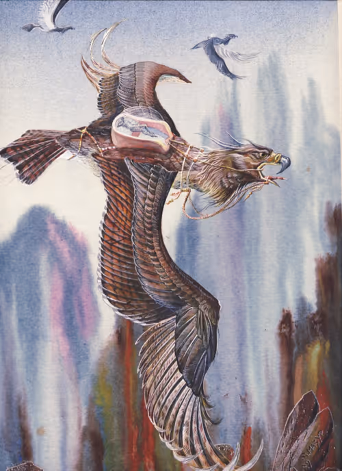 Item #17319939953167637780600282992121422872105245519410634407643257869662865588225 Media