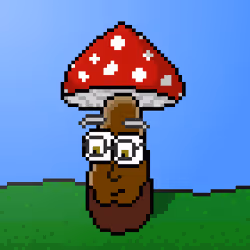 33741781216748986518517832568595493503429706584982134247768926262498932293633