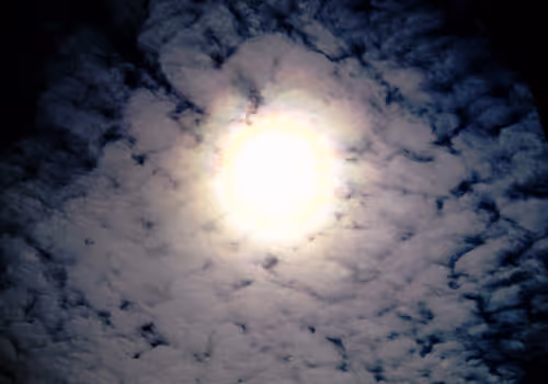 Item #113047771030127017240919341709485116586684509374101894410877815068973554728961 Media