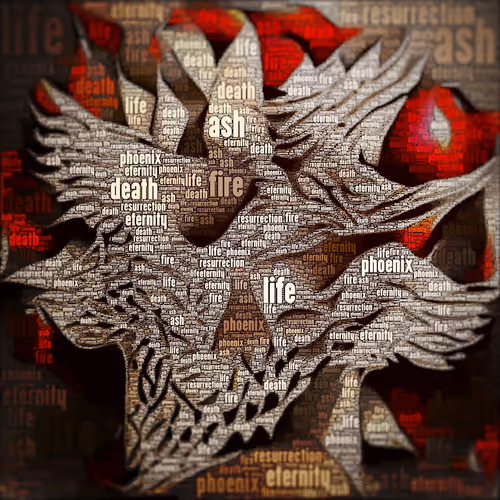 Item #94774677291070804473458847003176469620503323628640064905279630534001033246 Media