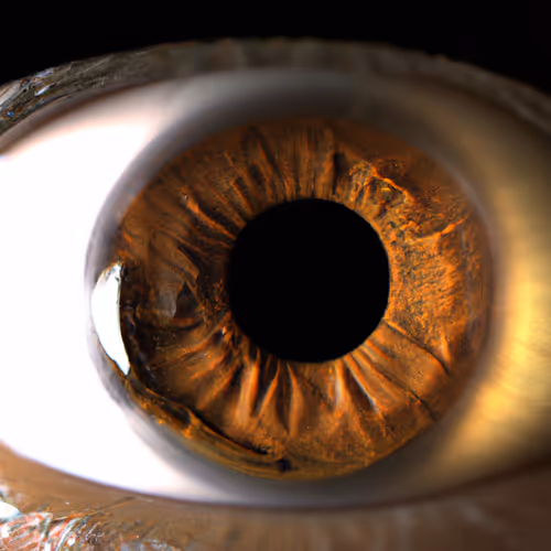 Item #75161260520968189202109989097136050560720594680540875626687896165656983240705 Media