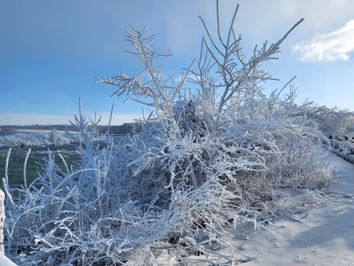 Item #30464793609000757666183909644065045905429673138757624924142168917931194318858 Media