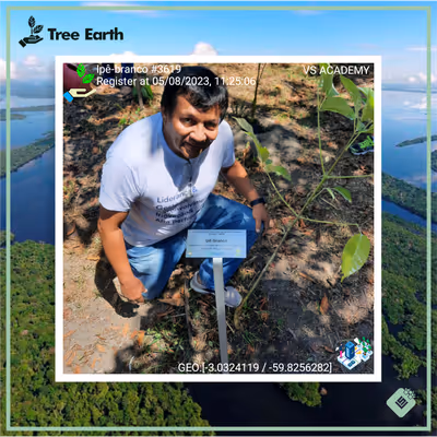 Item #8500196597889277390194123329501889087166328879864934763448349383367732494337 Media