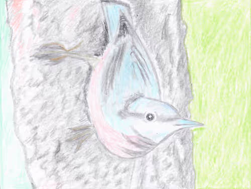 Item #23868826954703786931510511568205826115186971475765391307194903879837022158849 Media