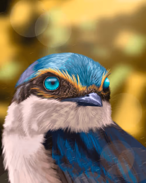 Item #92653617760102030904218862550610393359558394307813449742985135160055694360577 Media