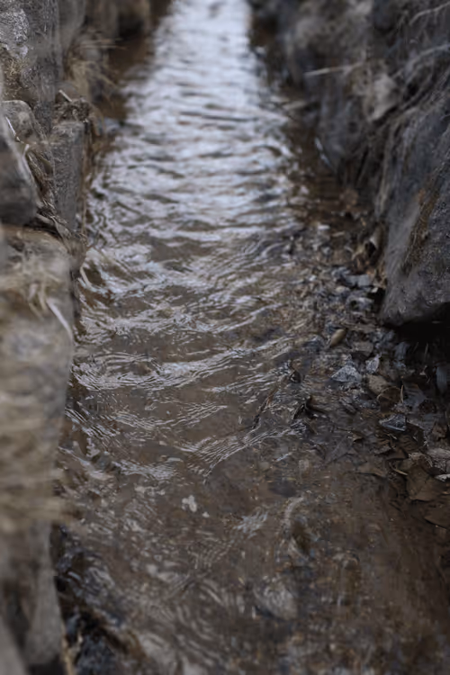 Item #88883349371163491607533237440798629699912672316183715139134230420687540977674 Media