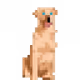2354807760386498251081009196205788176212319701195477366911492814830053622260