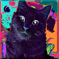 88960586343788958426741174802939624374750119757838653668849977595753794633737