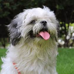Ruby - The reason i found my life partner