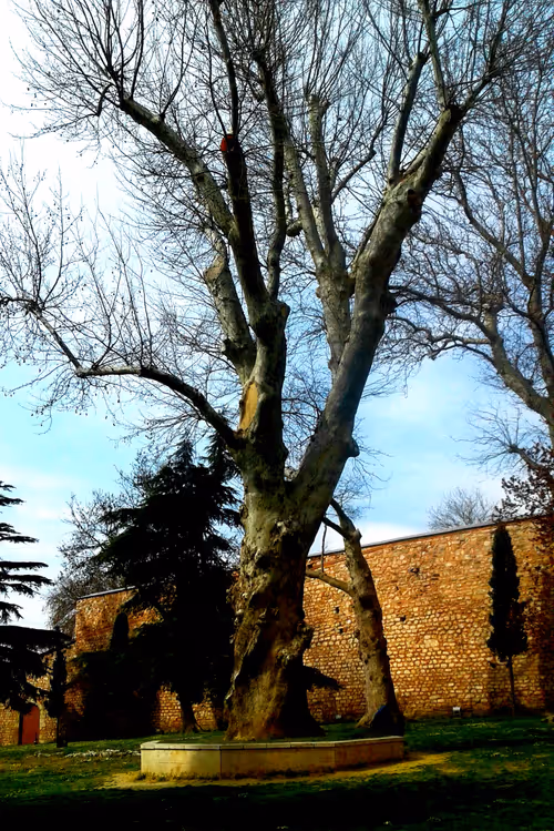 Item #32113585518735089884280564341914378894853705540135441781779048638235870756865 Media