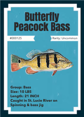 11587606933288487233709956499563114652187662415934773553861794757038324056065