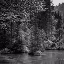 Silence