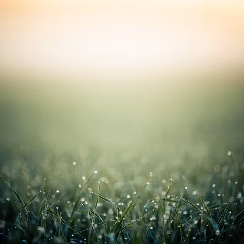 9260538880738646448046418891529255088625136826813512017686583792915946930276