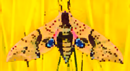 Item #74568048436549785885931702817516409477339099053412975047952570516220504179188 Media