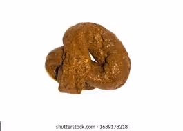 Lowballer's turd 