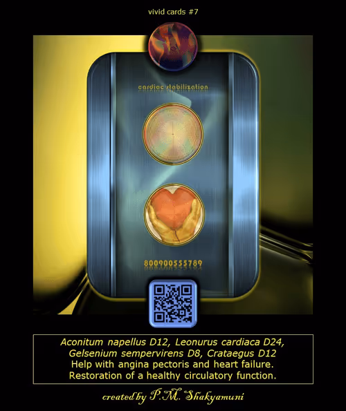 Item #47345187317042621199054541022243487307328885382077496715639673891867116700536 Media