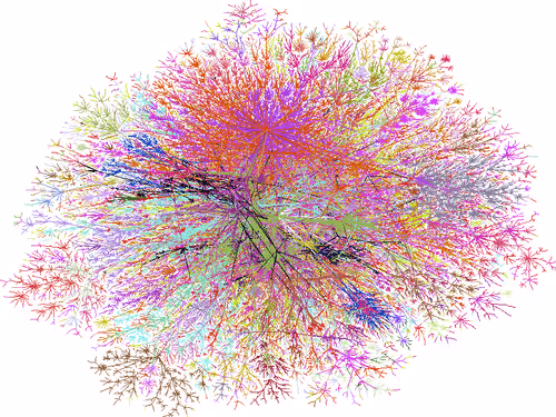 Untitled Collection #37778422