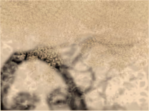 Item #67553364102704910052786438722982539447022718177836165747965600791264256589825 Media