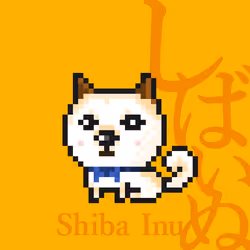 98789990287261690272402643257654075439011998844898742589554852740644307206145