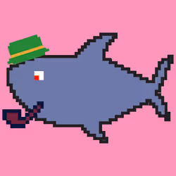 Crazy Shark #19