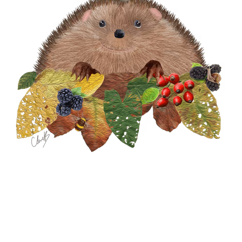 Hedgehog (Erinaceinae)