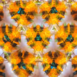 CP(3)49