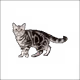 7917608709568526609042417006664391966594597627541652161018316710837477179393