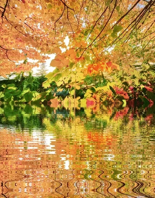 Item #33273431064062745158281459223994481396408298461003960329838769760201741434885 Media