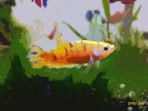 Item #74464285102539120175525880978246253166996374944805974491567127449126611976193 Media