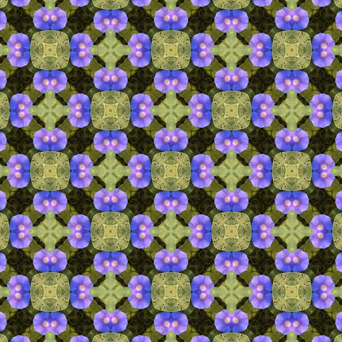 Untitled Collection #447207750