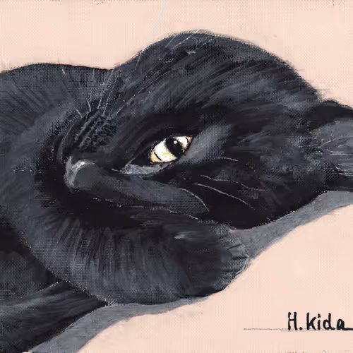 Item #55585405106375286849835946283739298292327576444586911709261980682539006689281 Media