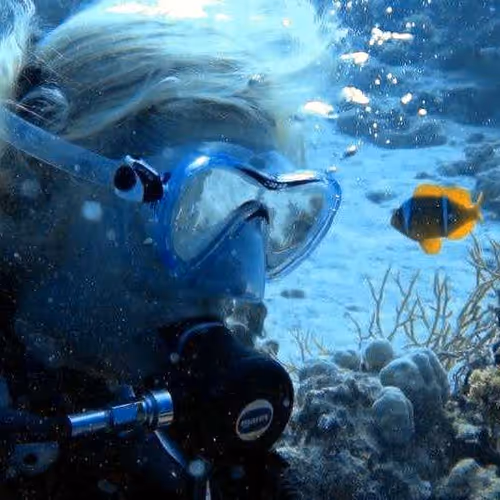 Item #19032294772148781182284612819641724008579829006900072158309399356930374238209 Media