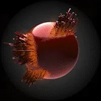 77898949108547955850781157610654916283937467032158407396598647555493961138177