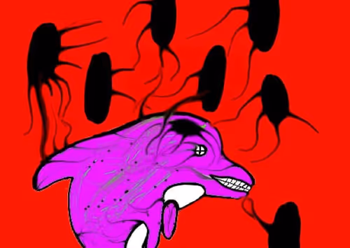 Item #103376014952589626879713133224825813363103328531663036845966193601098136158212 Media