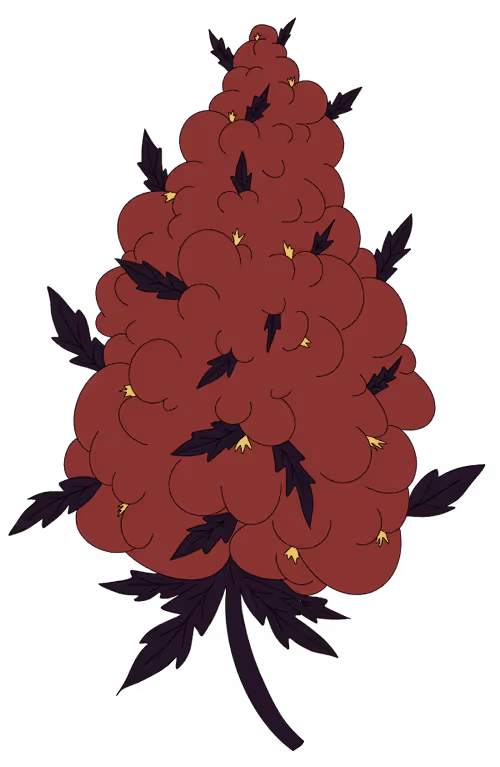 Item #66522560998545399229965450934026756509411677722078859939307370247974706741249 Media