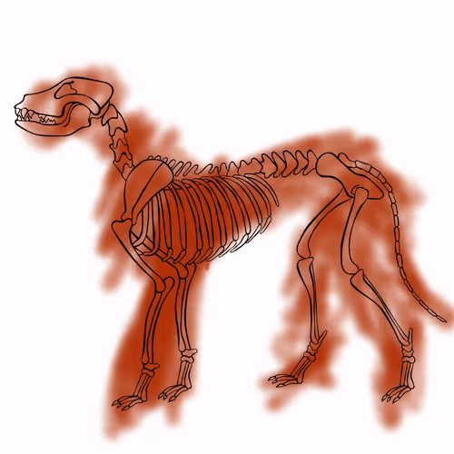 Item #66115251428437251400949335005857765940906863007353817121707627041834894622721 Media