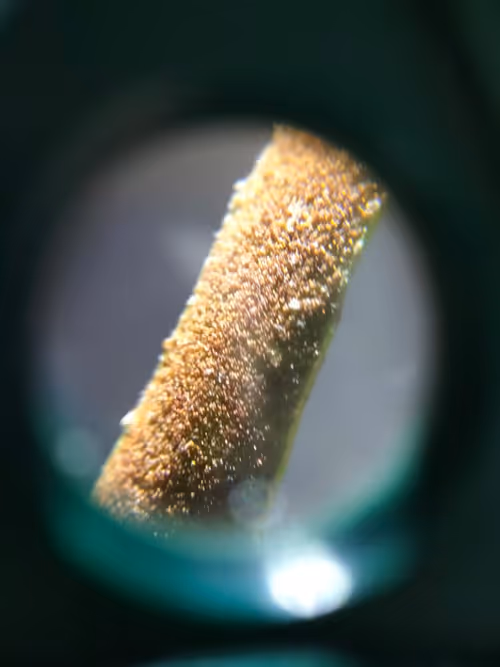 Item #12499860690887257293727532681291822536045842218714555575181684156069440389121 Media