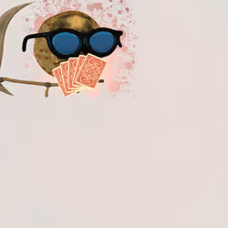 HOT TORTILLA98