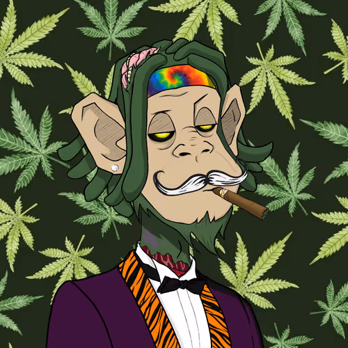 MONKEYHYPE #1331
