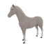 40699506028253024724348940758205175626529987663965247046696861510087911407617