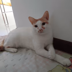 Millio #00002 - chilling