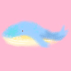 fuzzy whale