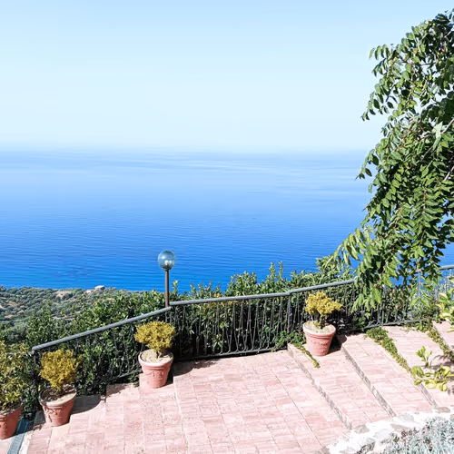 Untitled Collection #281803989