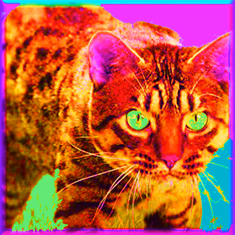 Item #88960586343788958426741174802939624374750119757838653668849978235669561999369 Media