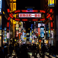Shinjuku Kabukicho #23