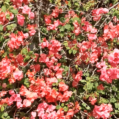 53940520834407617697661704121286633773112571894540834935674730150315002167299