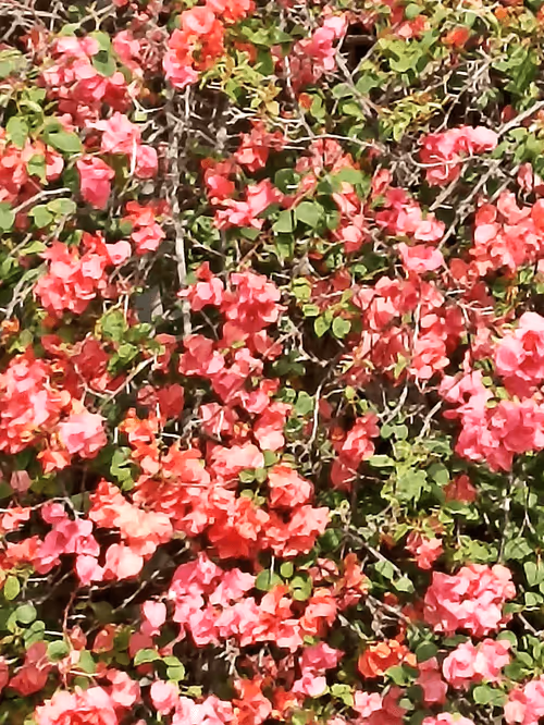 Item #53940520834407617697661704121286633773112571894540834935674730150315002167299 Media