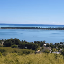Island #11