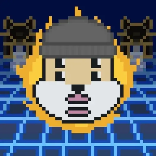 Rocket Shiba #2366